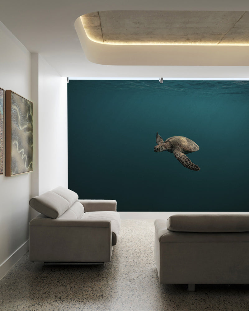 Gliding Turtle