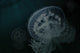 Ghost In The Current