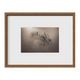 Leafy Sea Dragon ~ Phycodurus Eques ~ Figure 1