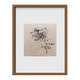 Leafy Sea Dragon ~ Phycodurus Eques ~ Figure 4