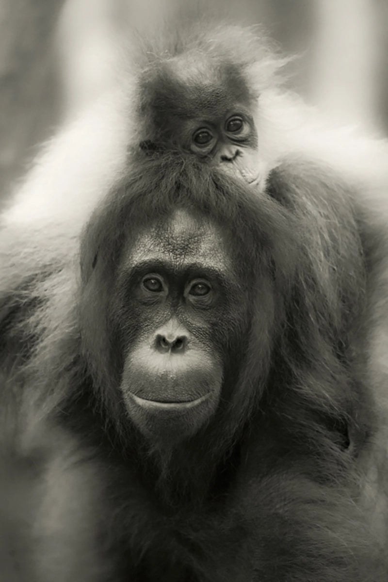 Motherhood