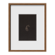 Shorthead Seahorse ~ Hippocampus Breviceps ~ Figure 1