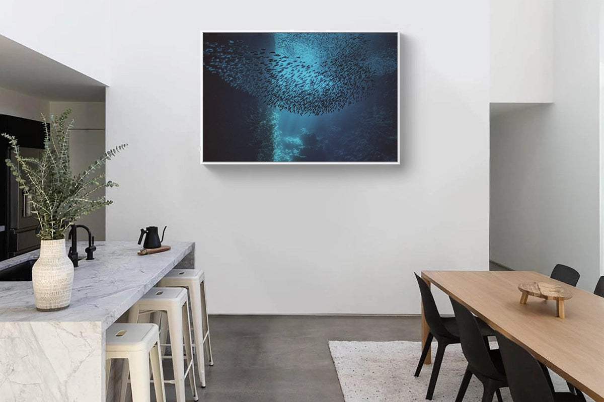 Swallow's Swarm