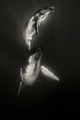 Synchronicity